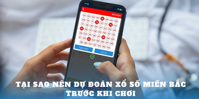 Tại sao nên dự đoán xổ số miền Bắc trước khi chơi