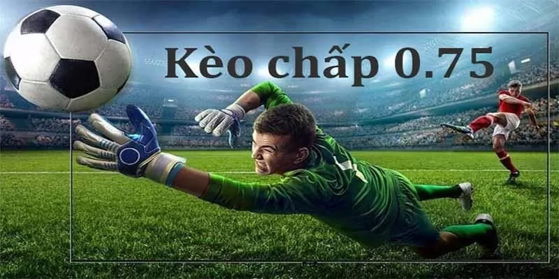 Kèo chấp 0.5/1 là gì đang là lựa chọn hàng đầu với nhiều bet thủ bóng đá